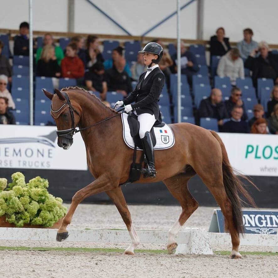 Conseil de Juge n°59 : Notes d'ensemble - Soumission