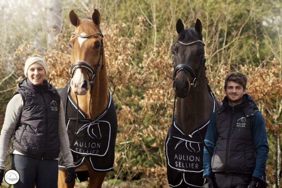 Pamfou Dressage Choisir avec vous votre cheval de dressage