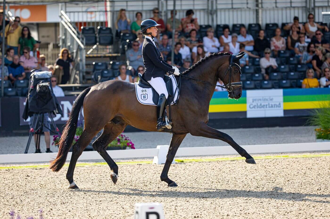 Camille Judet Cheret Emoji World Championship for Young Horses in Ermelo