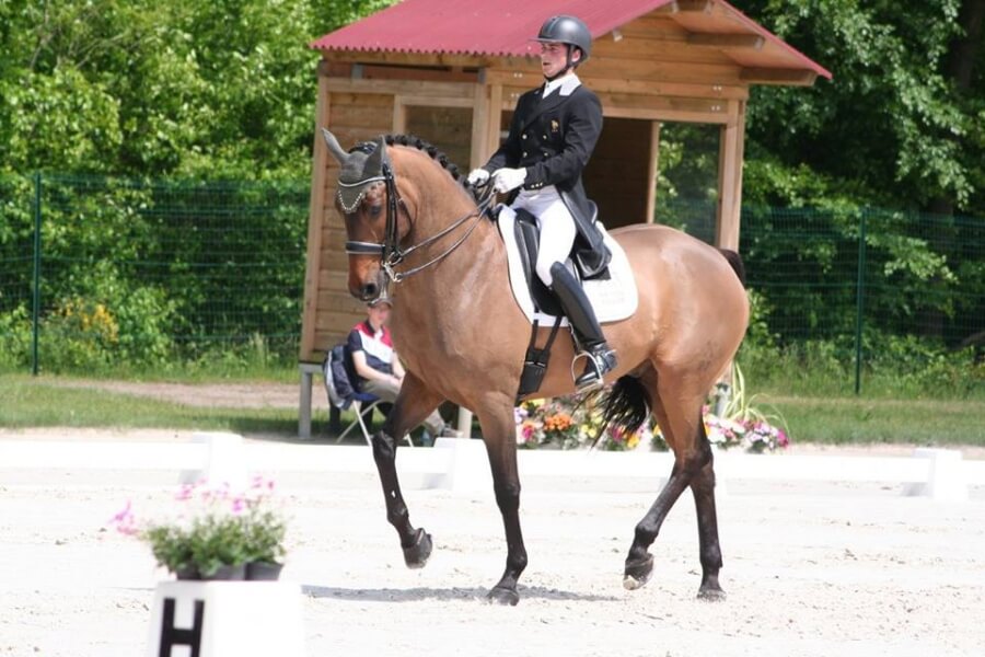 Technique Dressage : Rassemblé, moyen, allongé