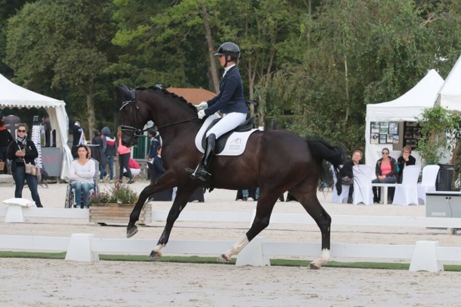 Compte rendu du cours de juge SHF