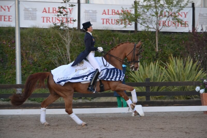 Conseil de Juge n°63 : Le renouveau du dressage moderne