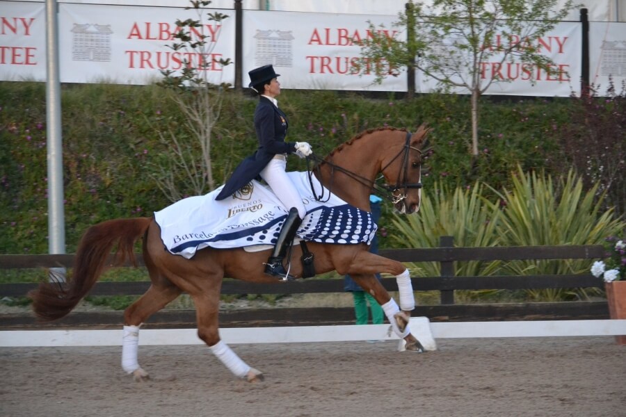 Conseil de Juge n°63 : Le renouveau du dressage moderne