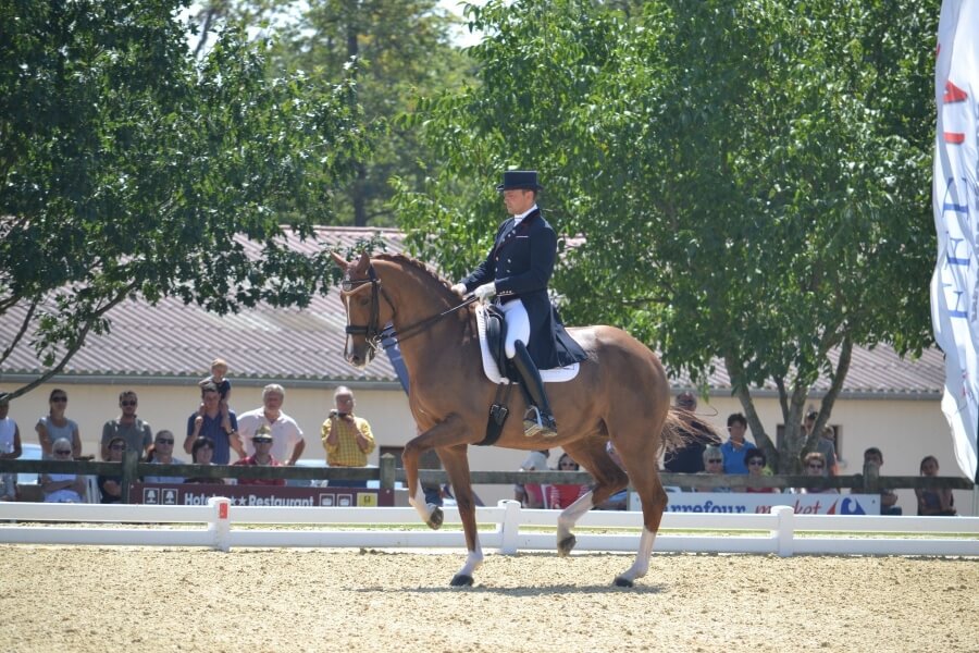 Un beau plateau pour le CDIW Equita'Lyon