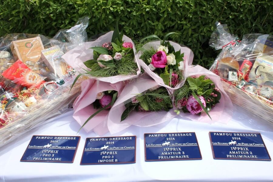 Pro Elite Pamfou Dressage 24-26 juin 2016