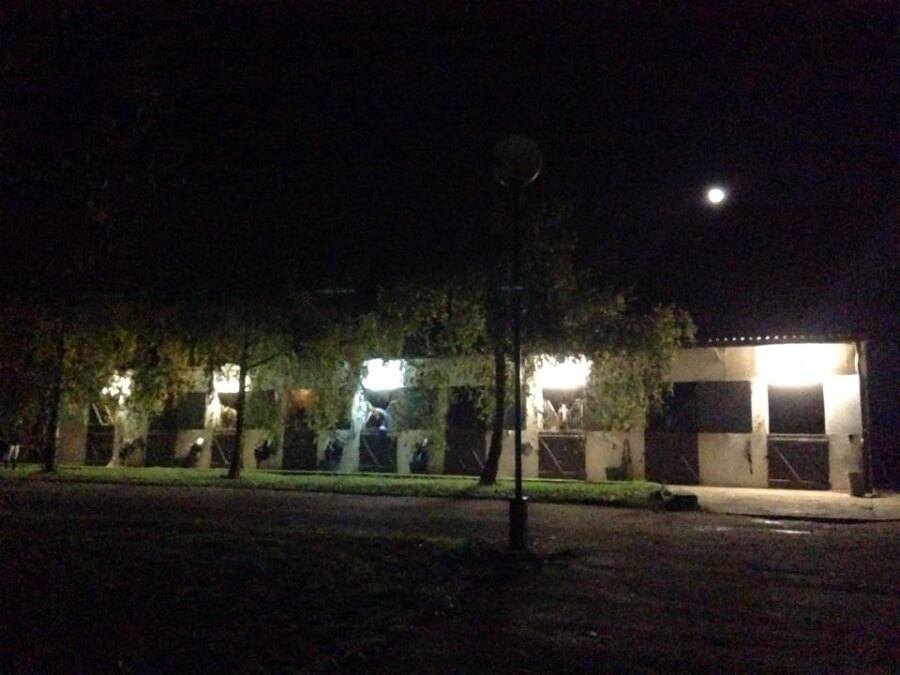 Rejoignez Pamfou Dressage dès mi décembre