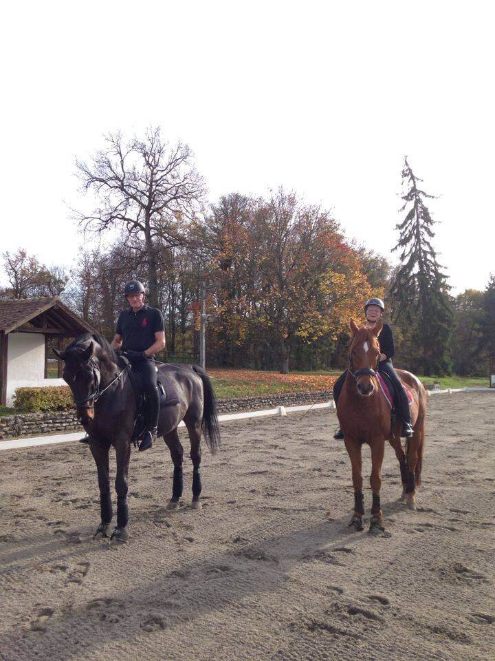 Pamfou Dressage : Une écurie ouverte à tous