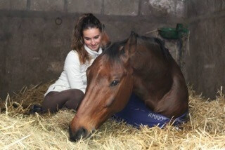 Trouvez votre cheval idéal à Pamfou Dressage