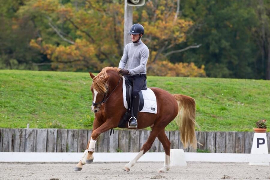 2016 : nouvelle formule, nouveaux tarifs