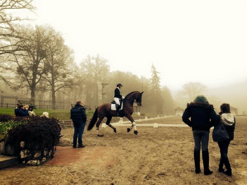 Concours d'entrainement 10 janvier 2016