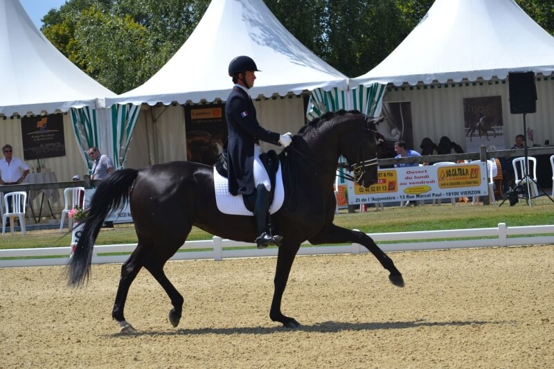 Programme de l'entrainement du 13 décembre