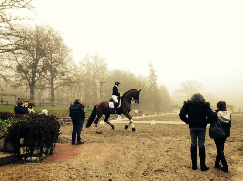Journée instructive à Pamfou Dressage