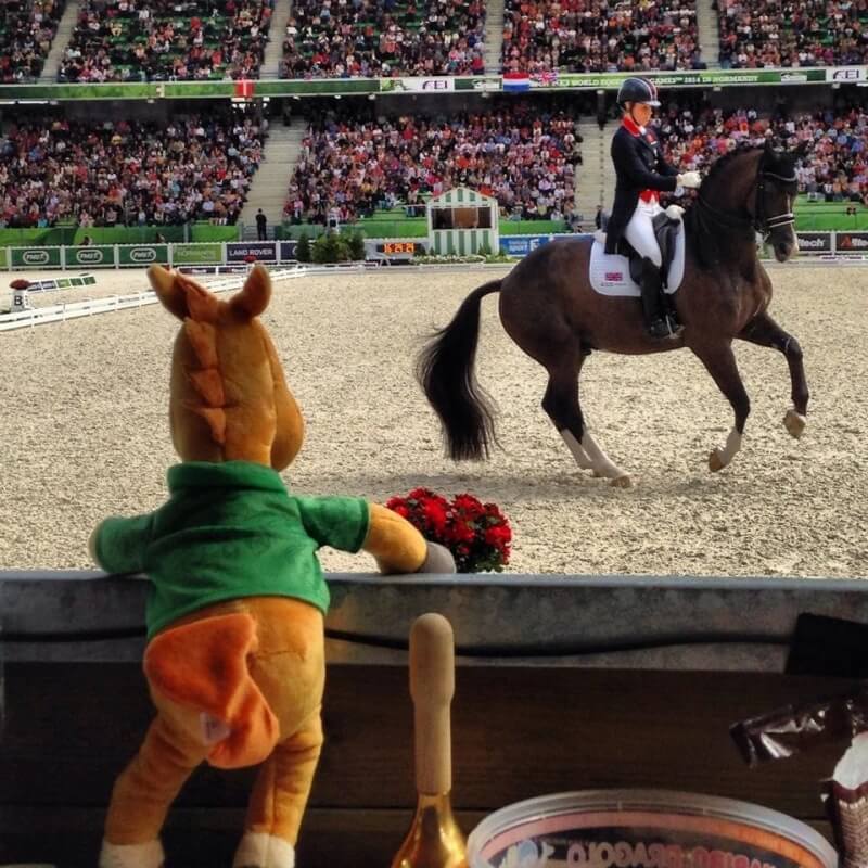 Conseil de Juge n°64 : Juger les stars