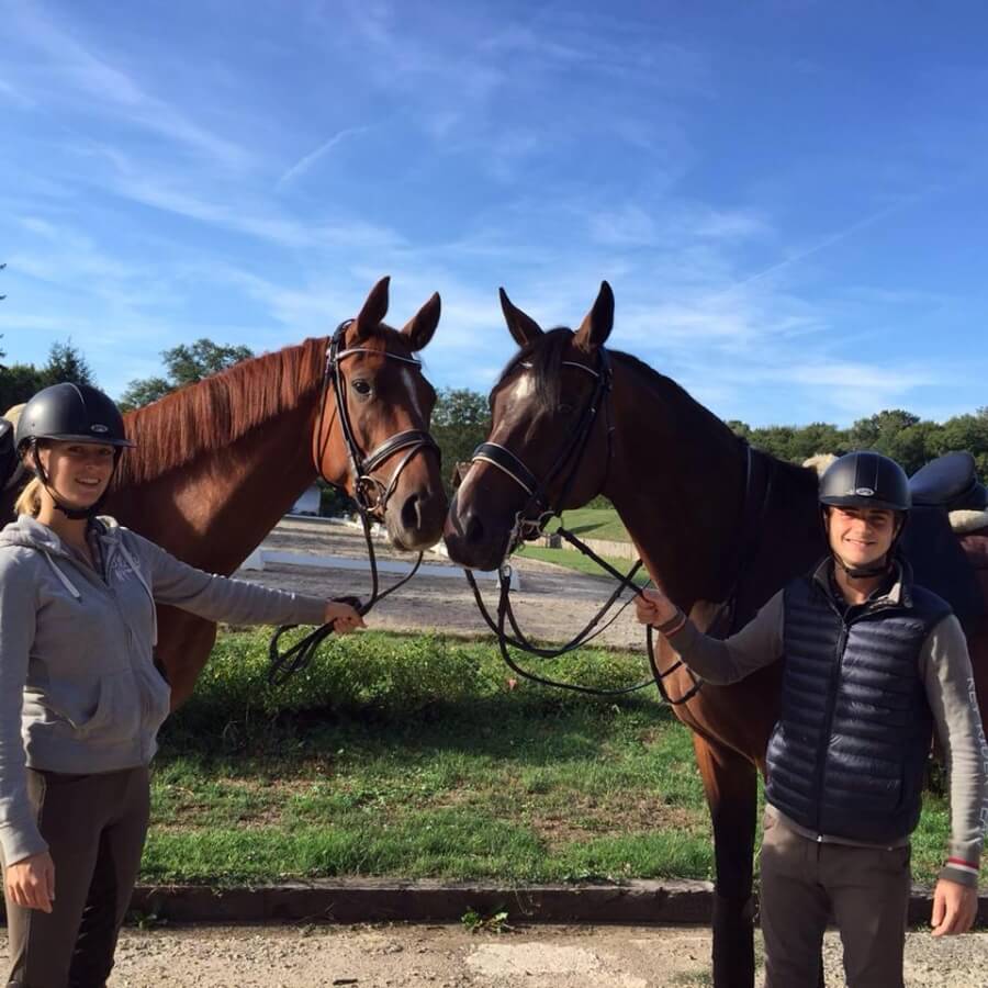 Des stages de dressage dans toute la France