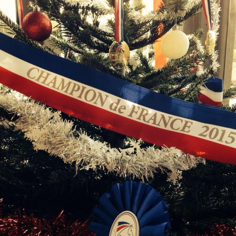 Que nous réserve 2016 ?