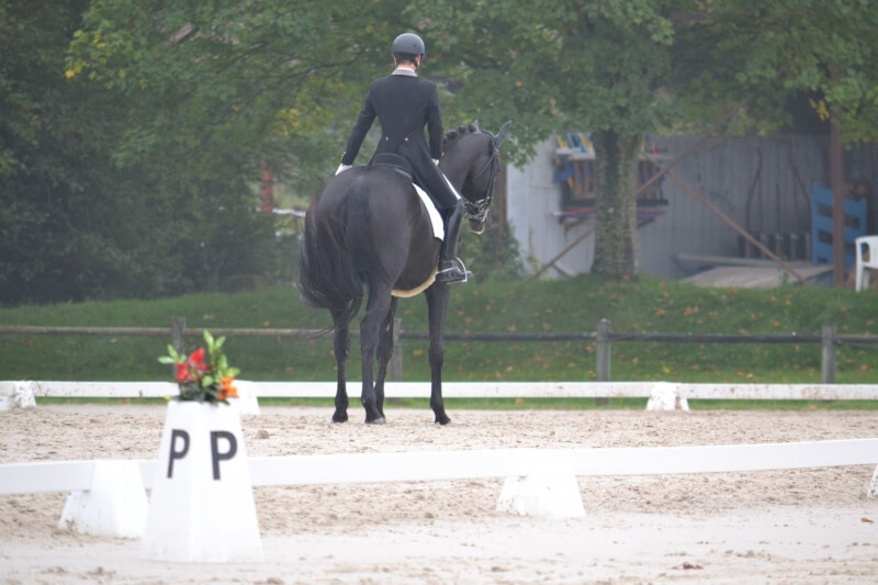 Conseil de Juge n°65 : L'arrêt