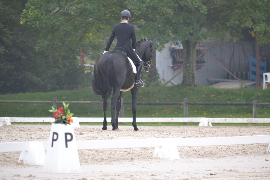 Conseil de Juge n°65 : L'arrêt