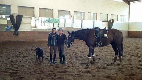 Concours d'entrainement et initiation au sport