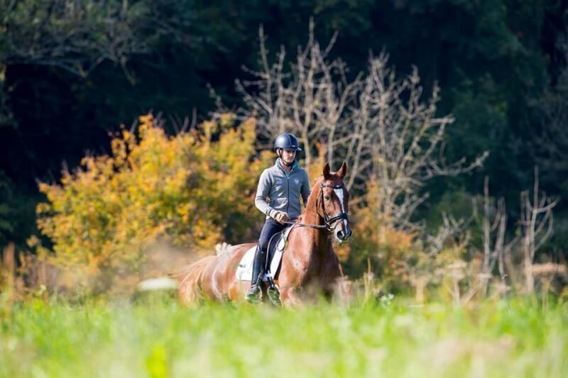 Deux ans pour devenir cavalier professionnel