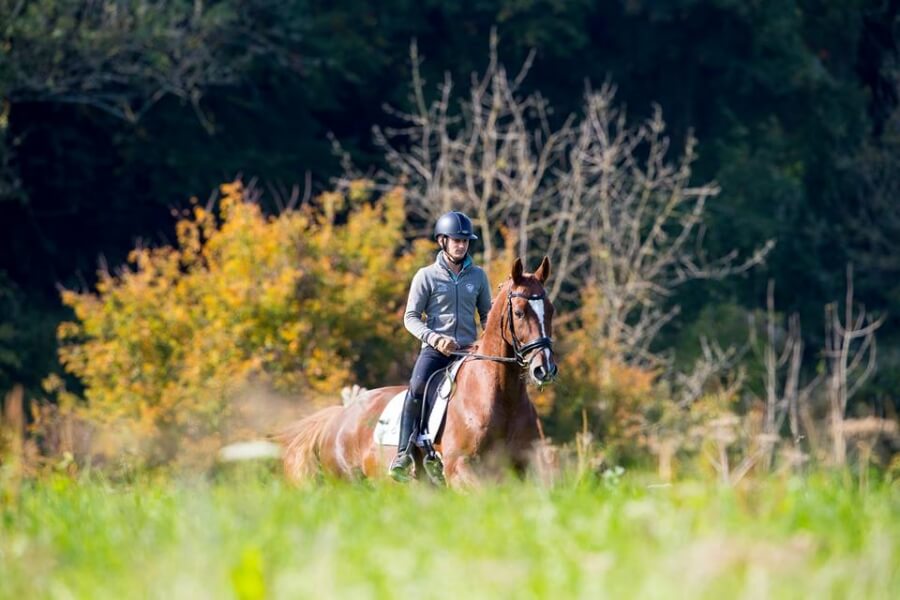 Deux ans pour devenir cavalier professionnel