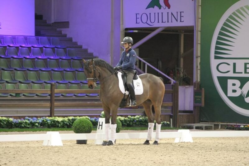 Corentin et Gotcha au CDI de Lier