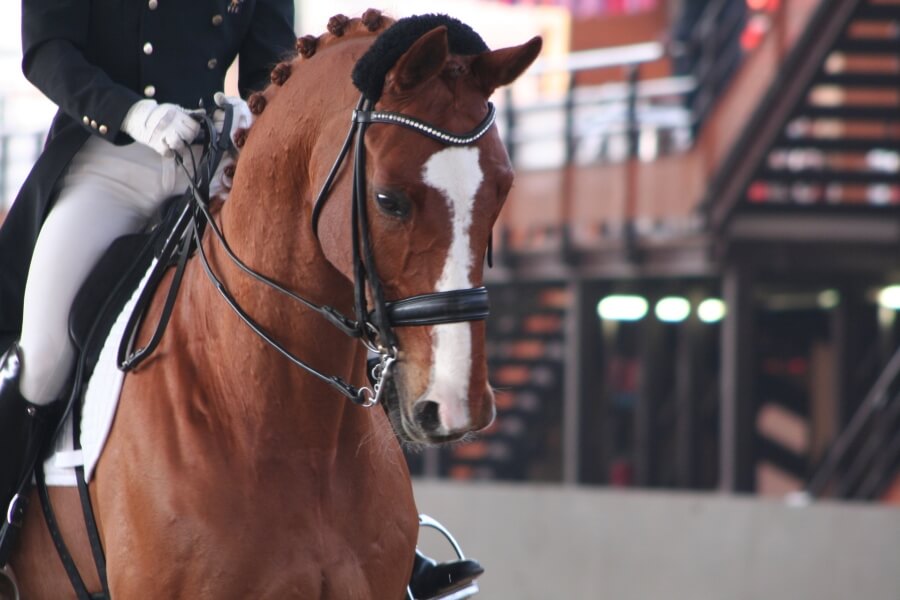 Lancelot renoue avec la victoire en Grand Prix