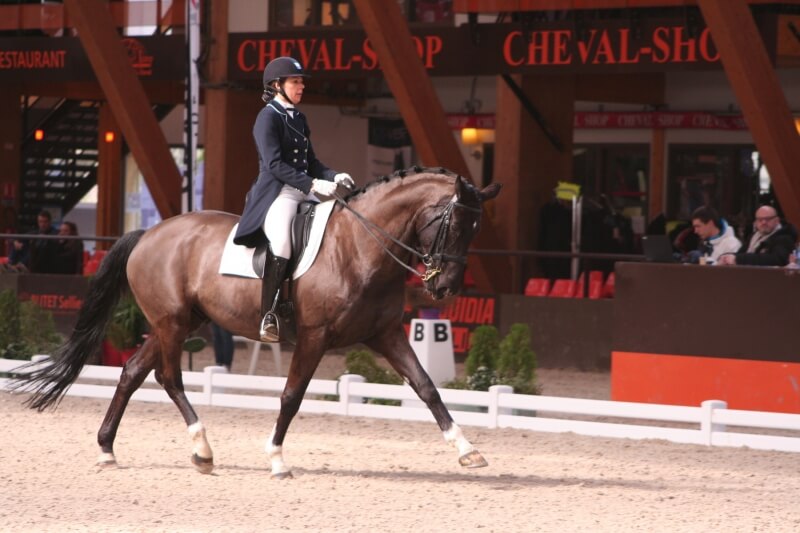 Franchir le pas pour devenir cavalier professionnel