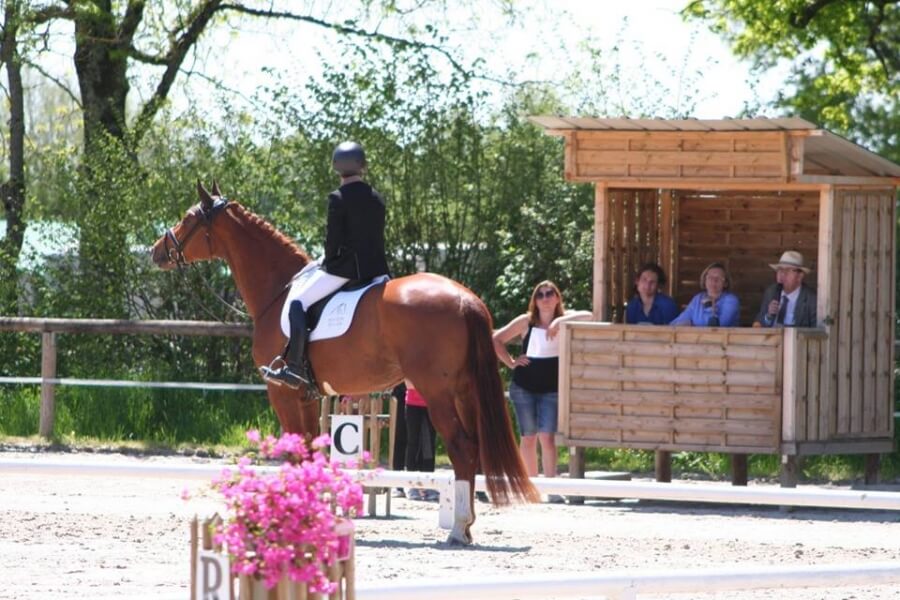 Pamfou Dressage en puissance à Nevers et Hautefeuille