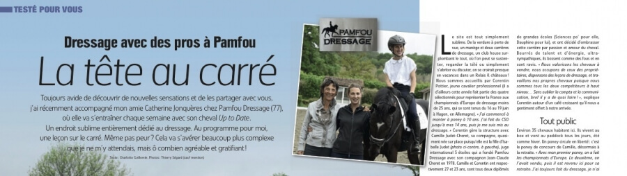 Cheval Pratique vous présente Pamfou Dressage