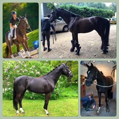 Einstein du Fayard vendu