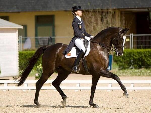 Beatriz Ferrer Salat à Pamfou Dressage dimanche