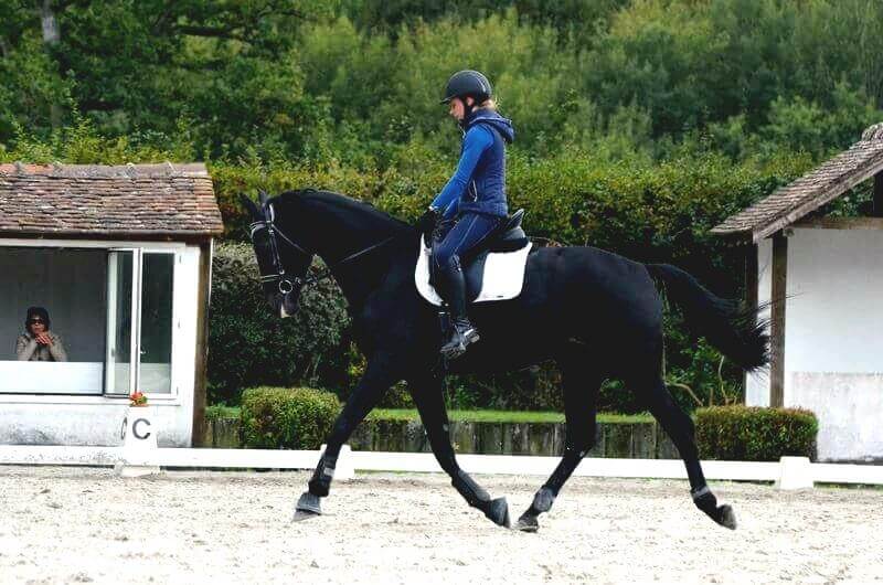 L'hiver 2016 au service de votre saison 2017