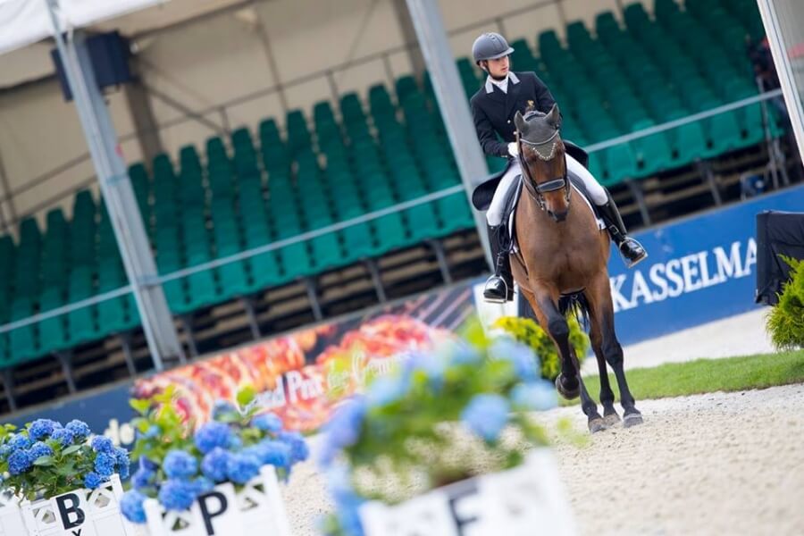 Technique Dressage : La rectitude