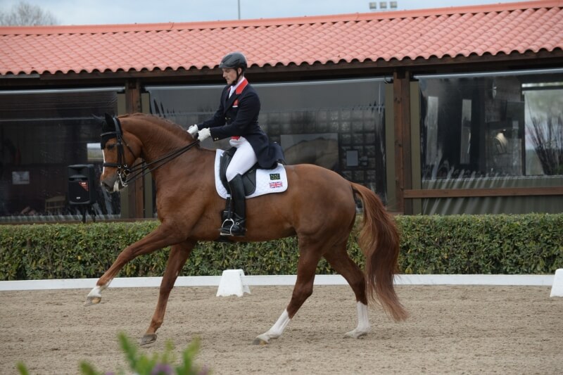 Bien choisir son jeune cheval avec Michael Eilberg