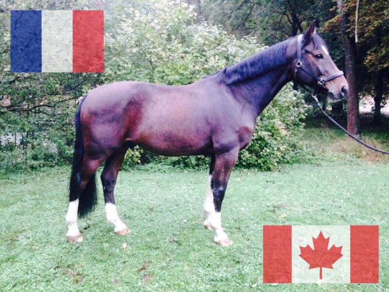 So Much partira pour le Canada