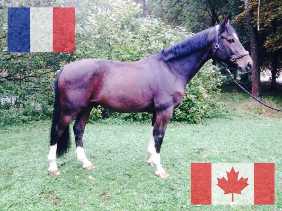 So Much partira pour le Canada