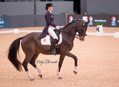 Sir Rahjad épatant jusqu'au bout