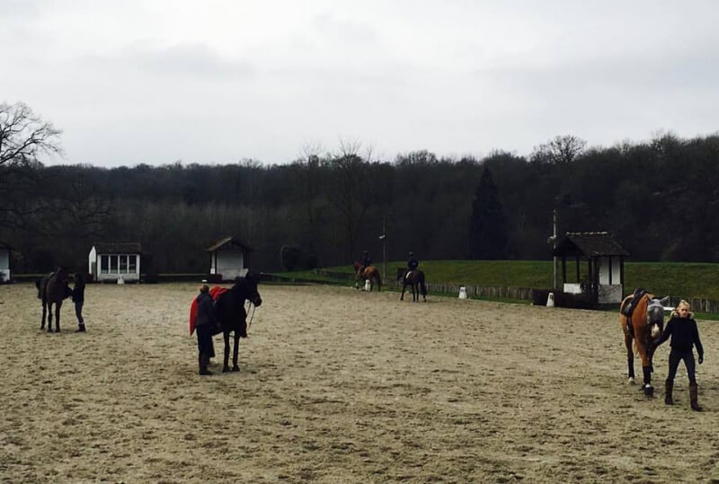 Les stages à Pamfou Dressage ? Témoignages !