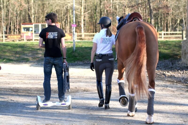 Pamfou Dressage se déplace dans toute la France