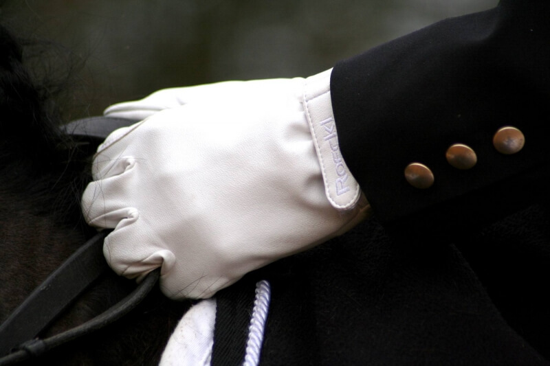 Technique Dressage : Les secrets d'une bonne performance