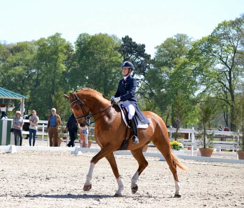 Grand National Jardy 2017