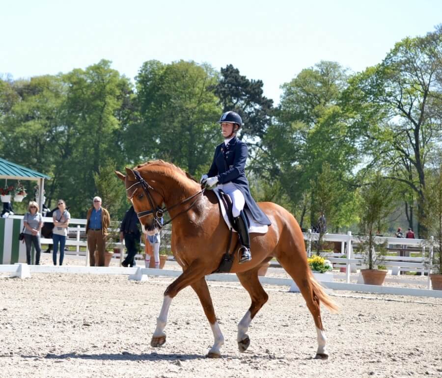 Grand National Jardy 2017