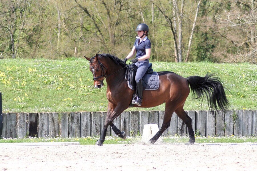 Nouvelles propriétaires pour Dornroeschen LH