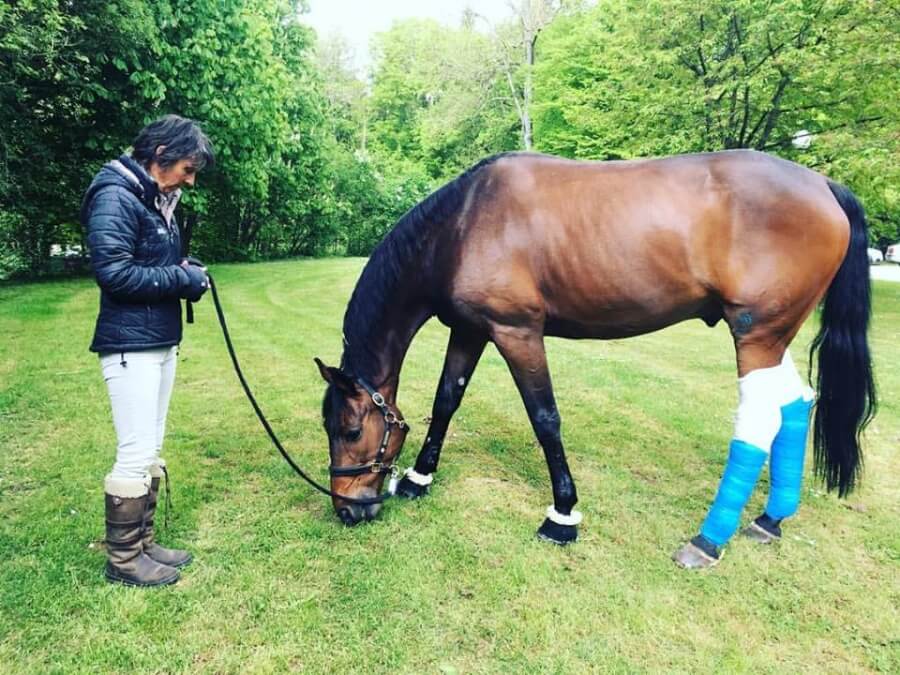 Gotcha accidenté mais désormais sain et sauf