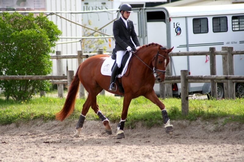 French Touch et Dancing Highness victorieuses à Sandillon