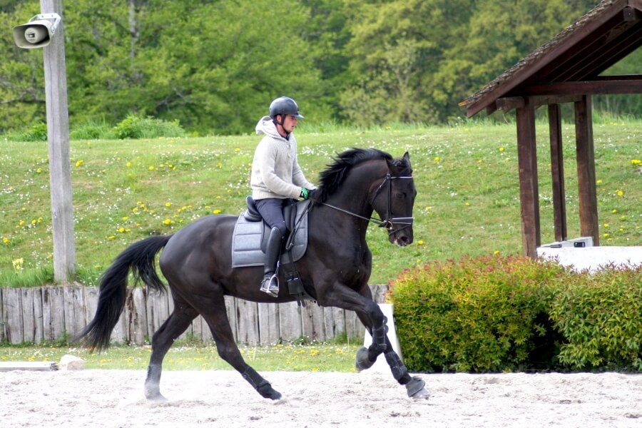 Grand National Rosières aux Salines