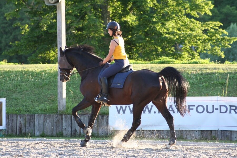 Vicomte, Superstition et Don Sunny vendus