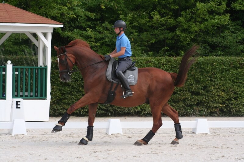 Scoop frôle les 70% au Grand National