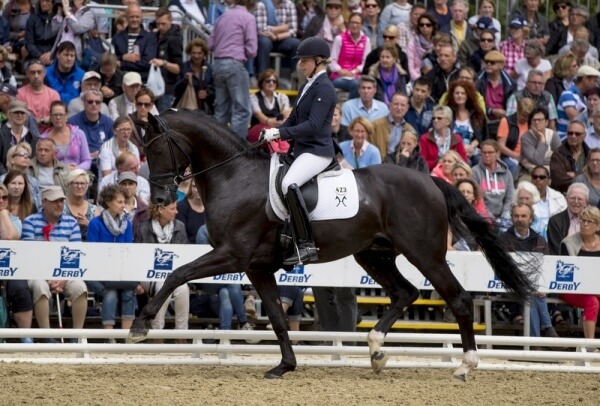 Championnat du Monde Ermelo : Jour 1