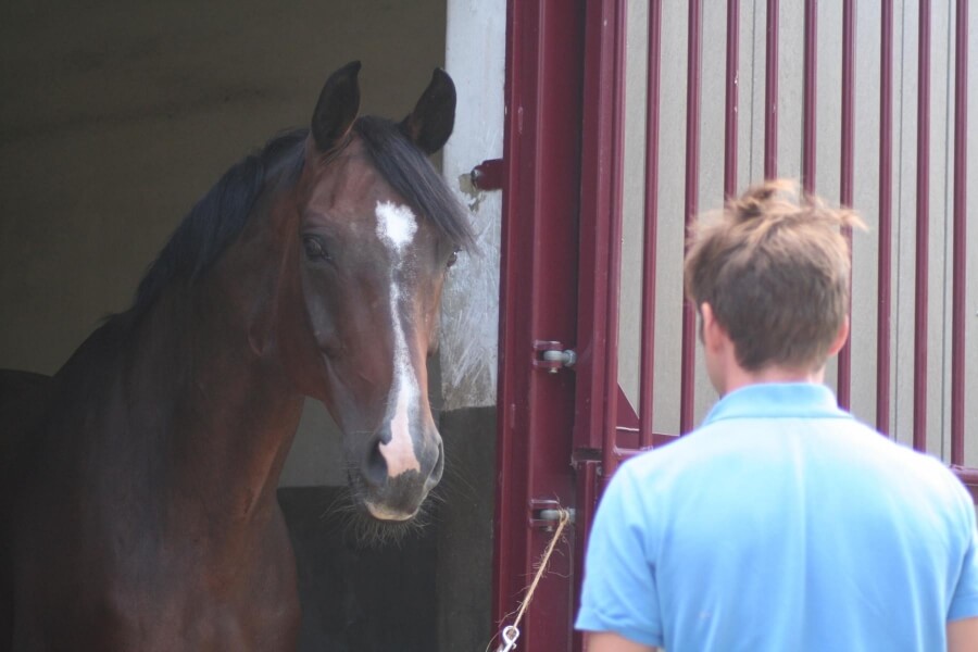 Journée Portes Ouvertes dimanche 15 octobre